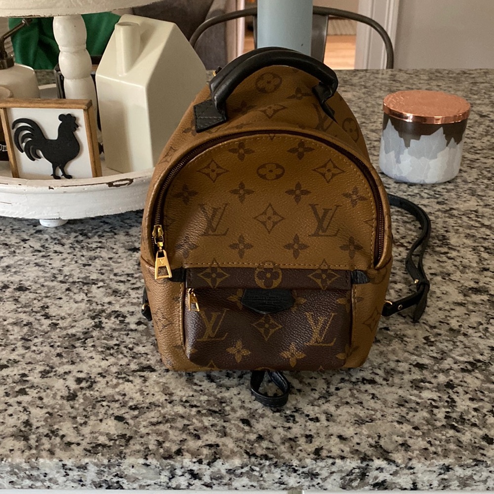Louis Vuitton Palm Springs Mini Reverse